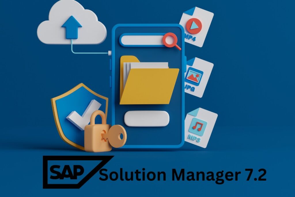 Solution Manager